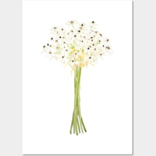 star of Bethlehem flower watercolor Posters and Art